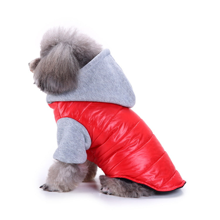 Ozzie - Pet Sport Wear for Cats & Small Dogs