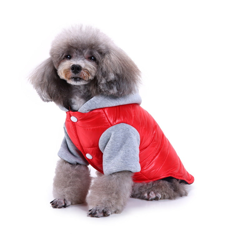 Ozzie - Pet Sport Wear for Cats & Small Dogs