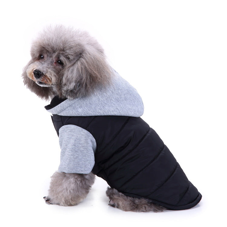 Ozzie - Pet Sport Wear for Cats & Small Dogs