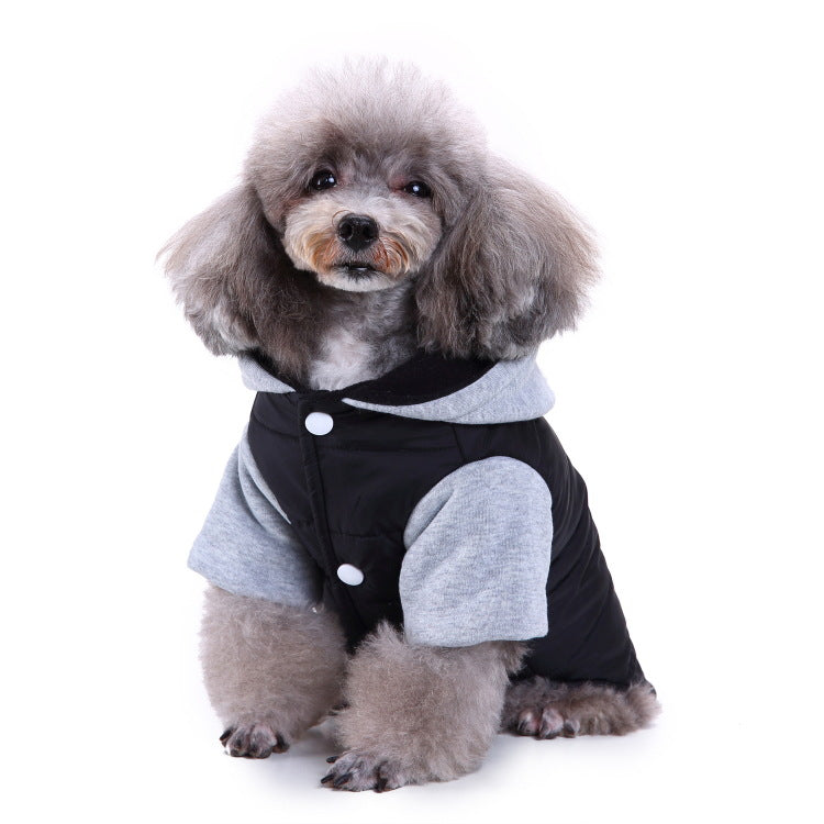 Ozzie - Pet Sport Wear for Cats & Small Dogs