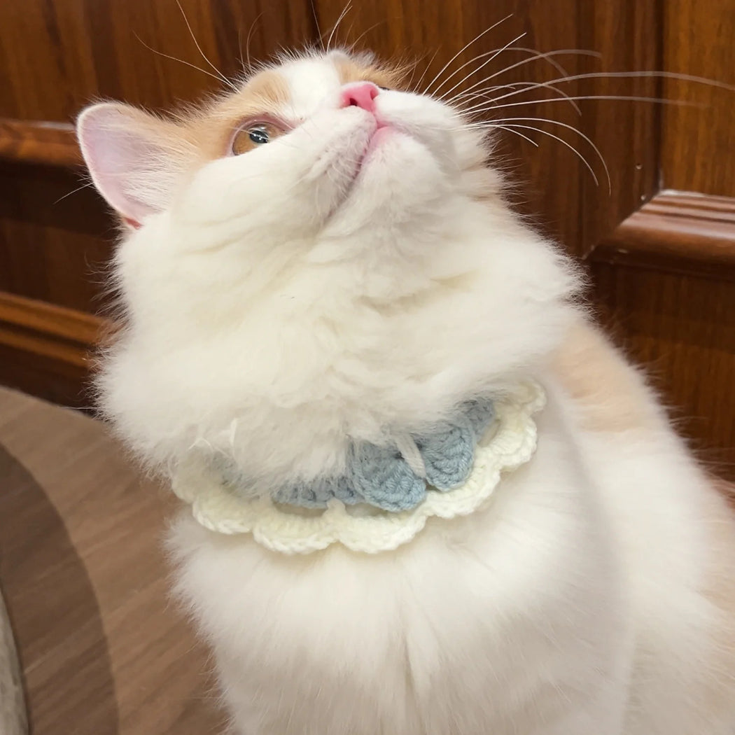 Mokka - Soft Scalloped Crochet Cat Collar
