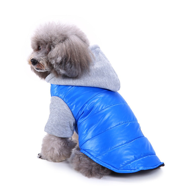 Ozzie - Pet Sport Wear for Cats & Small Dogs