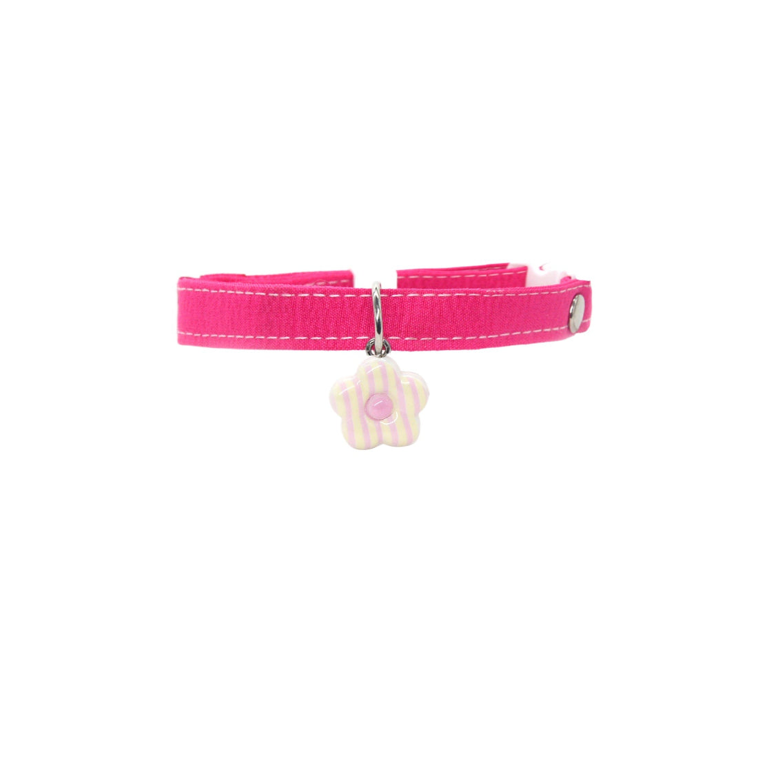 Mokka Daisy Charm Breakaway Collar worn on a small dog showing fit and charm placement