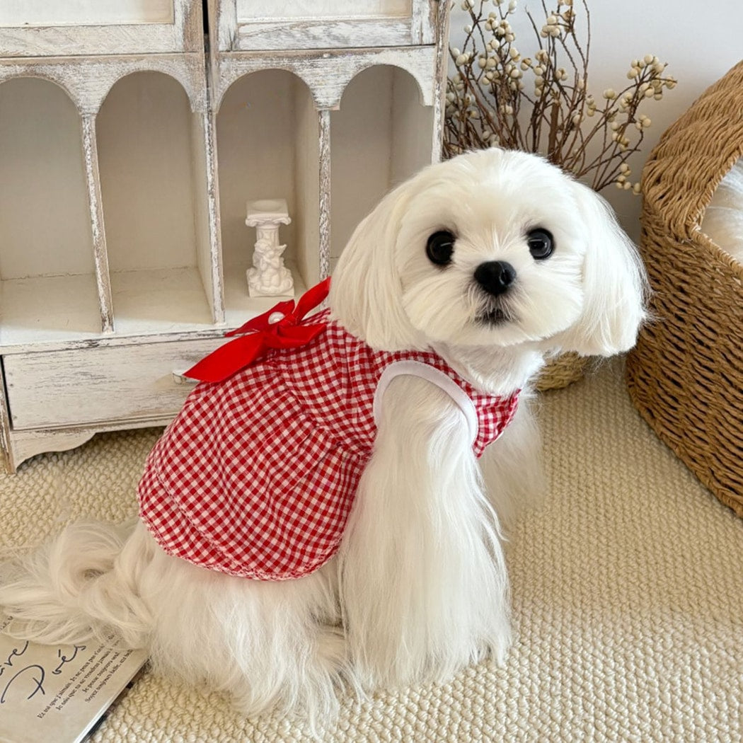 Ozzie - Princess Style Plaid Dog and Cat Dress