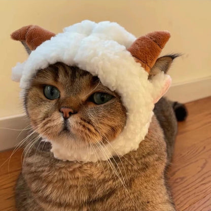 Ozzie goat costume cat hat laid flat highlighting its shape and design