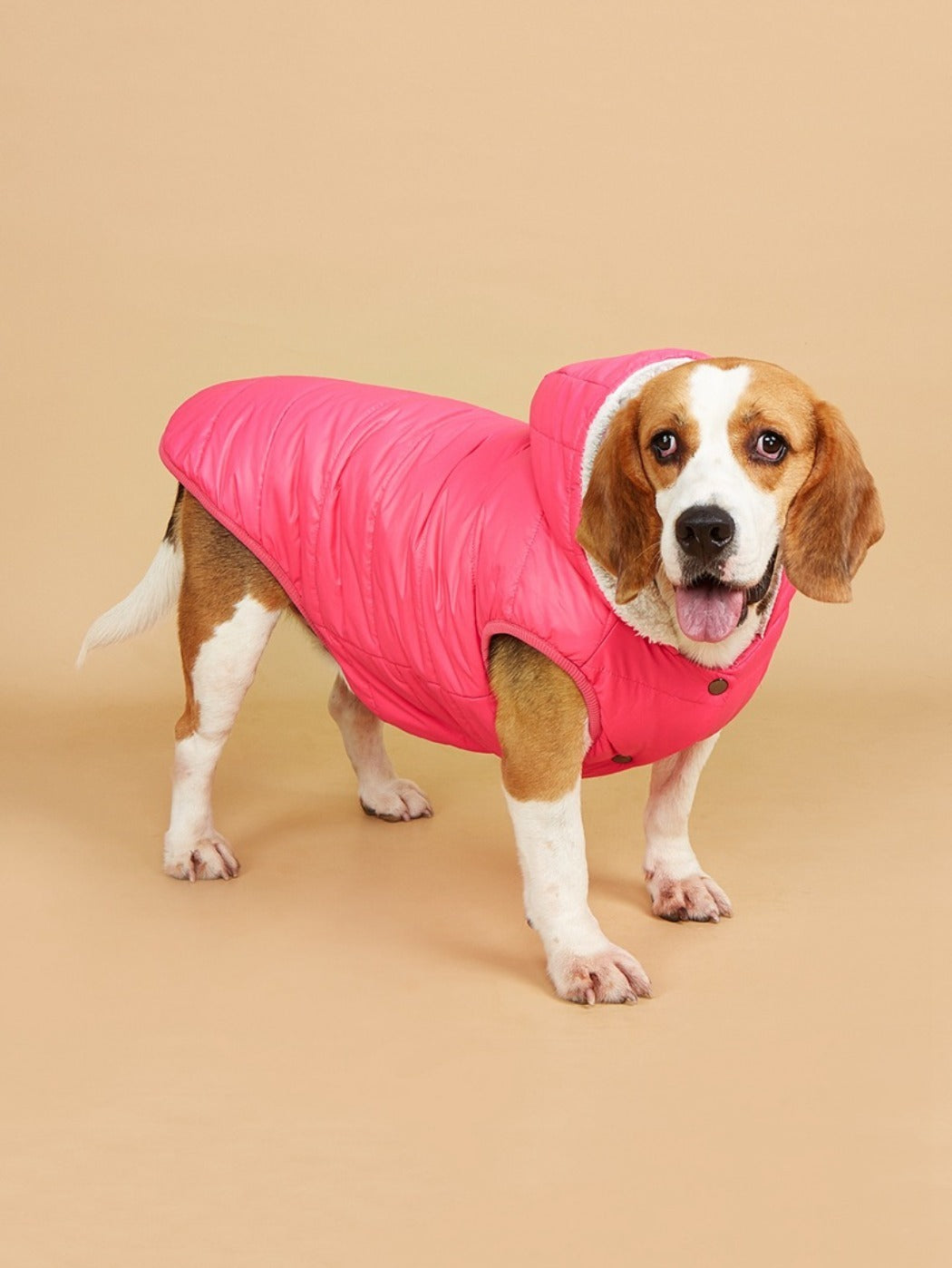 Ozzie – Puffer Hoodie Dog Coat