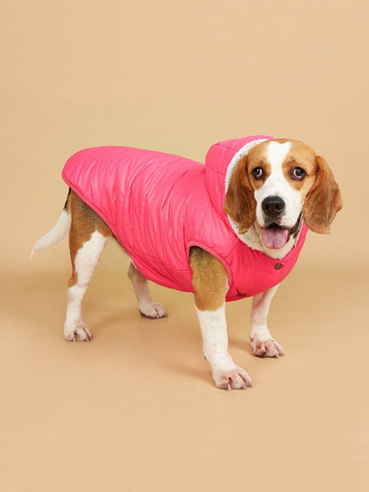 Ozzie – Puffer Hoodie Dog Coat
