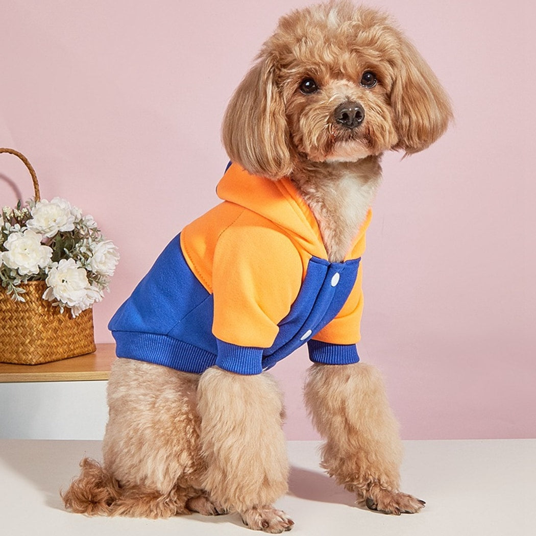 Ozzie - Sports Style Color Block Pet Hoodie