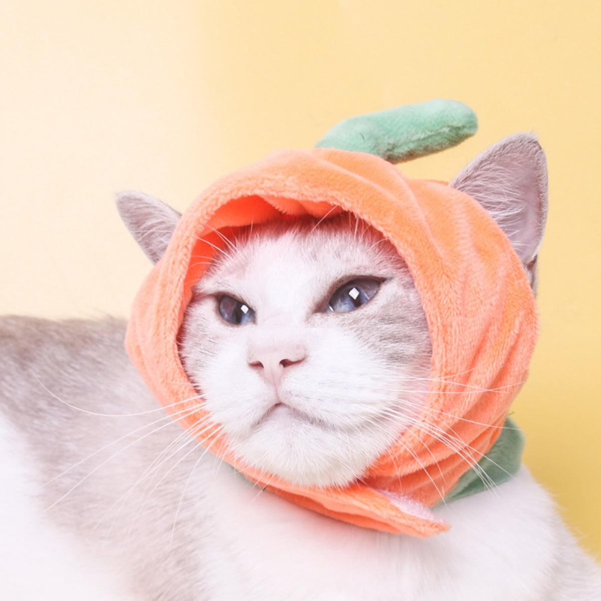 Ozzie - Persimmon Purrfection Cat Costume Hat