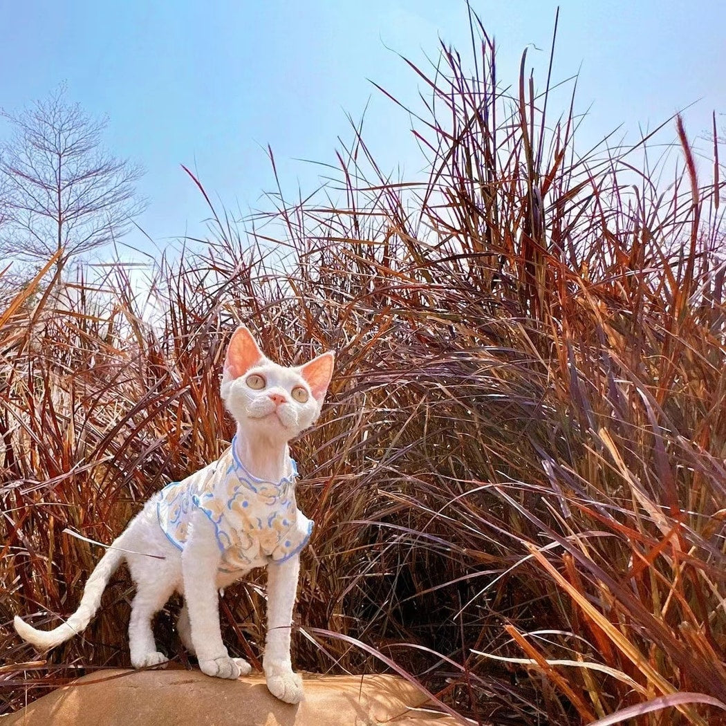 Ozzie - Lightweight Patterned Cat Apparel for Pets