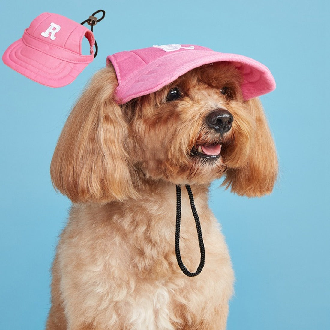 Ozzie Letter Dog Baseball Cap displayed on white background, angled front view