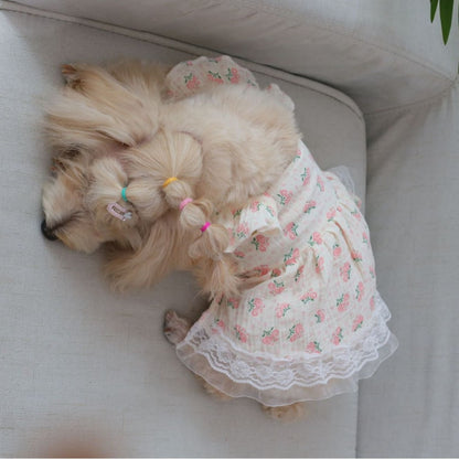 Ozzie - Lace Hem Rose Print Pet Skirt Dress