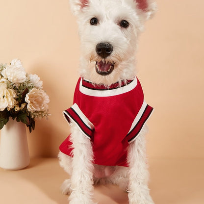 Ozzie - Colorblock Rib Trim Dog Vest