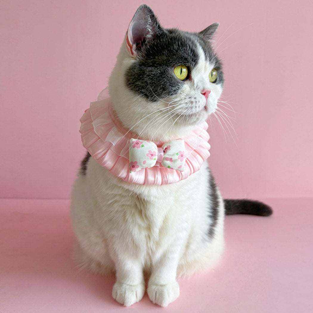 Mokka - Sweet Decorative Bow Cat Collar