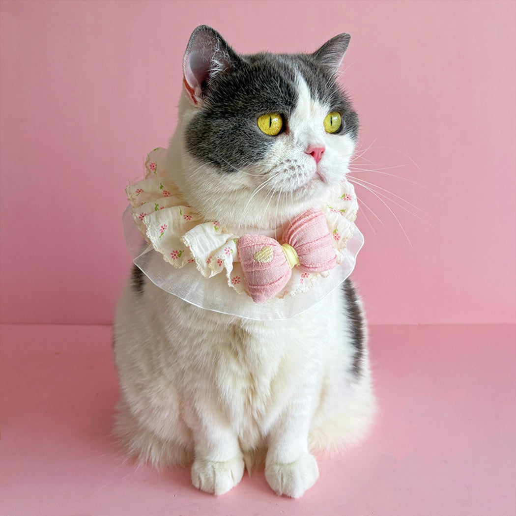 Mokka - Floral Mesh Ruffle Bow Cat Collar