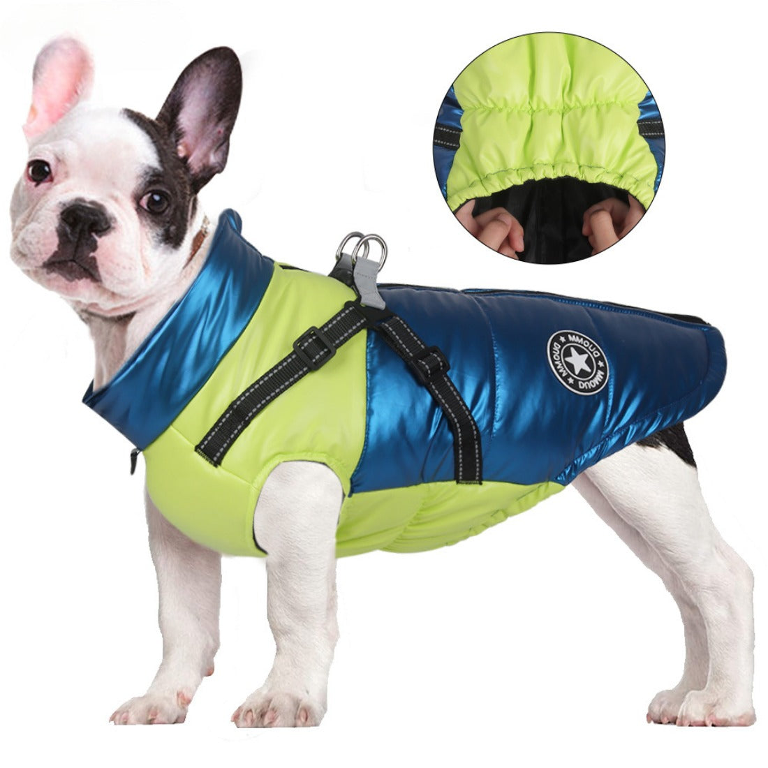 Ozzie - Reflective Colorful Winter Coat for Medium and Small Dogs