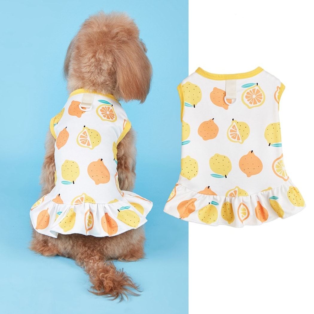 Ozzie - Playful Print Vest Style Pet Dress