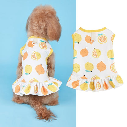 Ozzie - Playful Print Vest Style Pet Dress