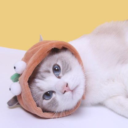 Ozzie - Dinosaur Cat Hat