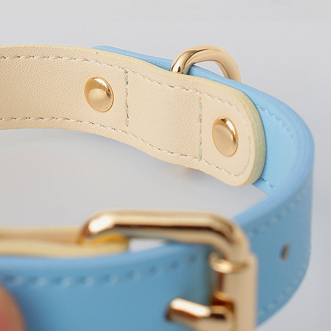 Loofie - Colorful Leather Dog Collar