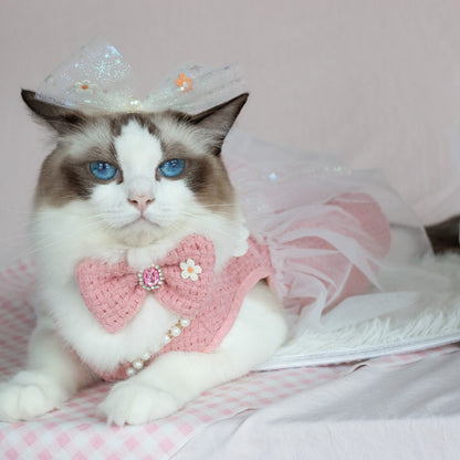 Ozzie cat wearing a pink princess tulle dress with a large bow on the back