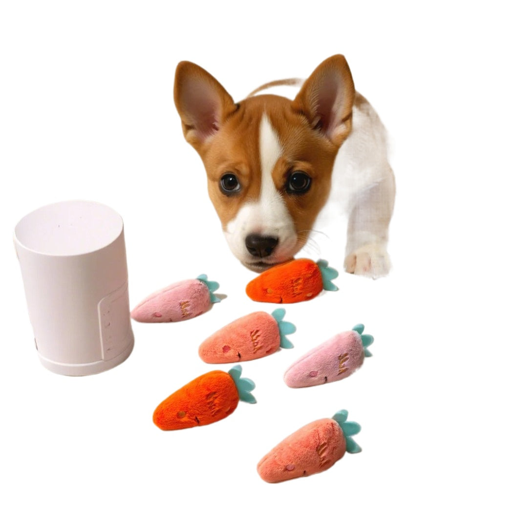 Petkin Carrot Plush Squeaky Dog Toy isolated on white background