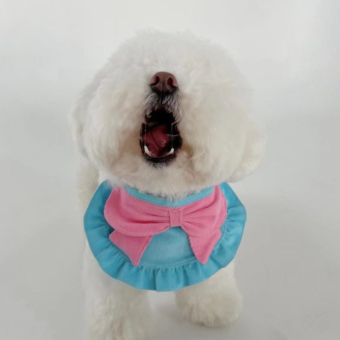 Close-up of Mokka bow ruffle decorative pet bandana in soft fabric