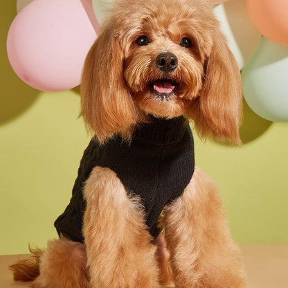Ozzie - Knit Turn-Down Collar Dog Sweater
