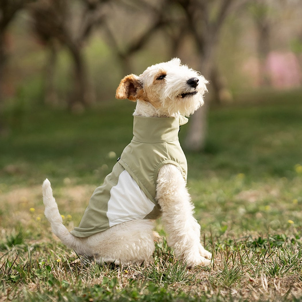 Ozzie - Color Block Everyday Dog Vest