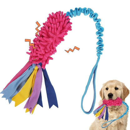 Petkin - Colorful Squeaky Interactive Dog Plush Toy