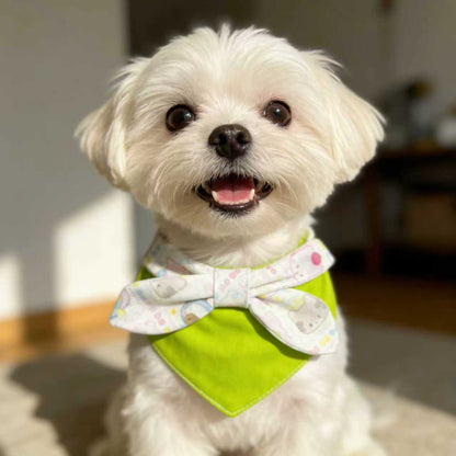 Mokka - Bow and Ribbed Bib Pet Neckwear