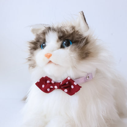Side view of Mokka Polka Dots Bowtie Collar showing collar and bowtie detail