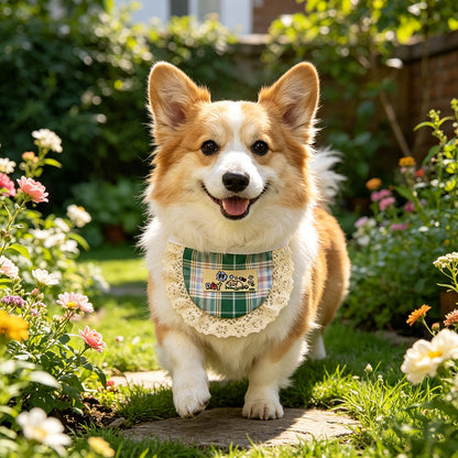 宠物围兜英伦风格子围脖猫咪饭兜小狗双面花边围嘴口水巾衣服配饰