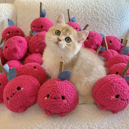 Close-up of Moo fruit shape cat toy showing texture and details