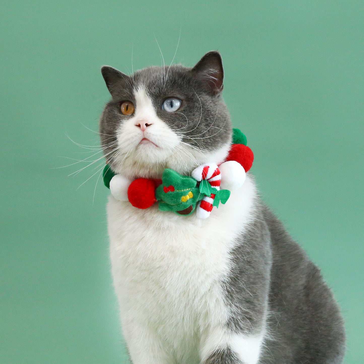 Chrismoo - Christmas Collar for Cats & Dogs