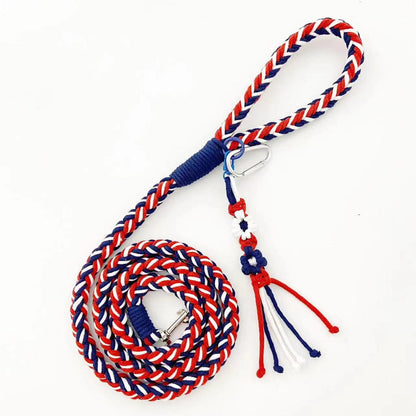Loofie - 59in Pastel Braided Dog Leash