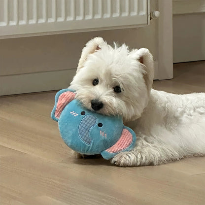 Petkin - Flat Disc-Shaped Dog Toy