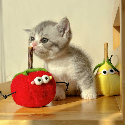 Moo cat toy featuring a red strawberry character with a cheerful expression