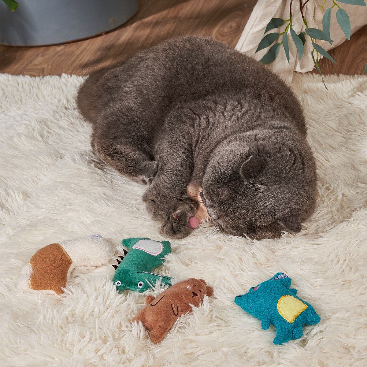 Moo - 5 pcs Cute Soft Cat Toy Set