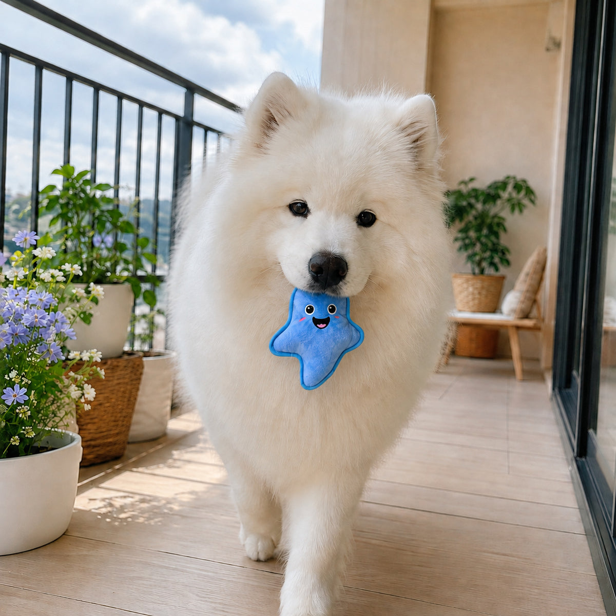 宠物发声毛绒玩具 闪电包边耐咬狗狗玩具 BB 叫磨牙解闷中小型犬
