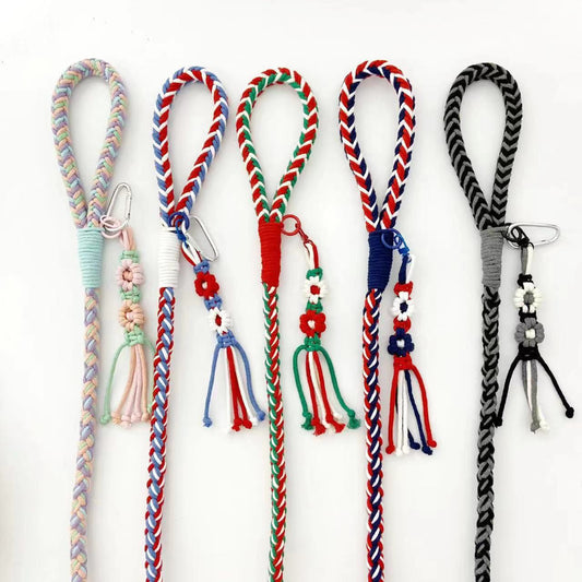 Loofie - 59in Pastel Braided Dog Leash