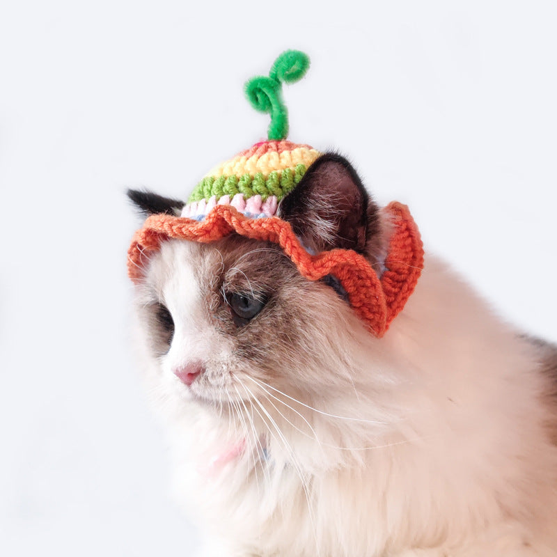 Rainbow Pet Knit Hat