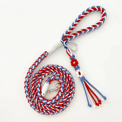 Loofie - 59in Pastel Braided Dog Leash