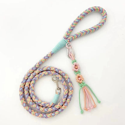 Loofie - 59in Pastel Braided Dog Leash