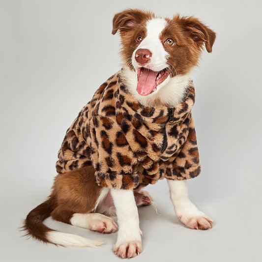 Ozzie - Pet Winter Jacket Cheetah Print