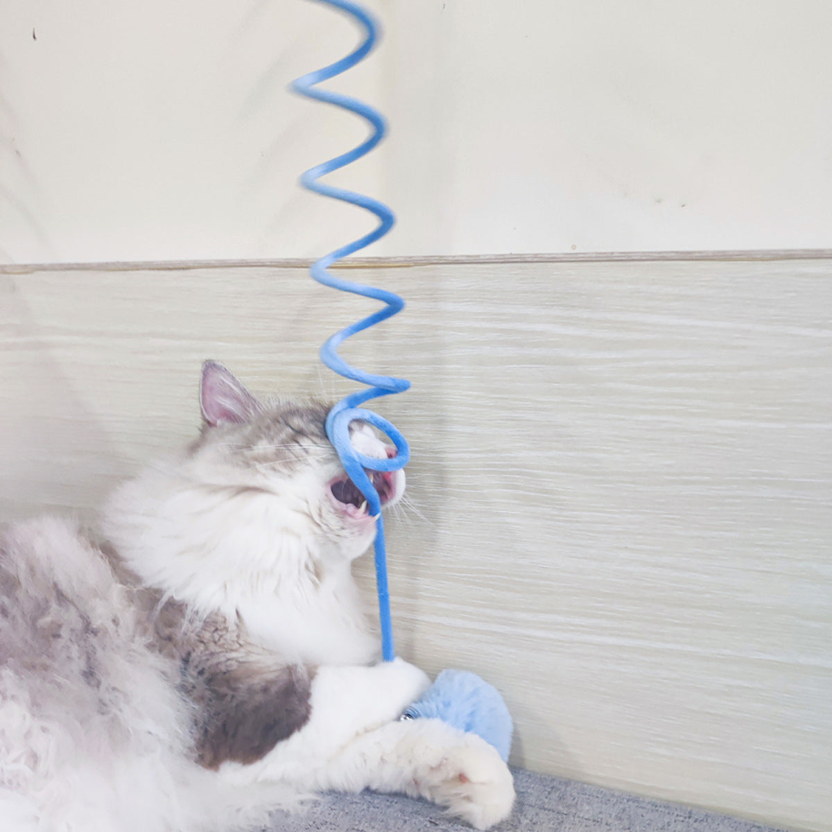 Moo - Coiled Spring and Bell Cat Toy