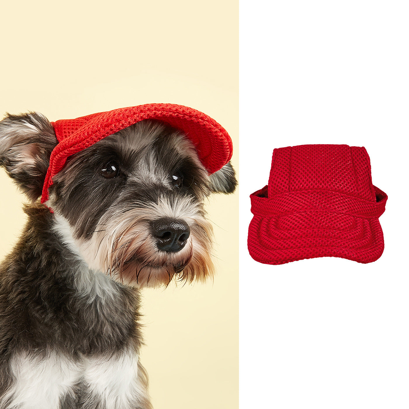 Top view of Ozzie lightweight mesh dog hat highlighting ventilation panels