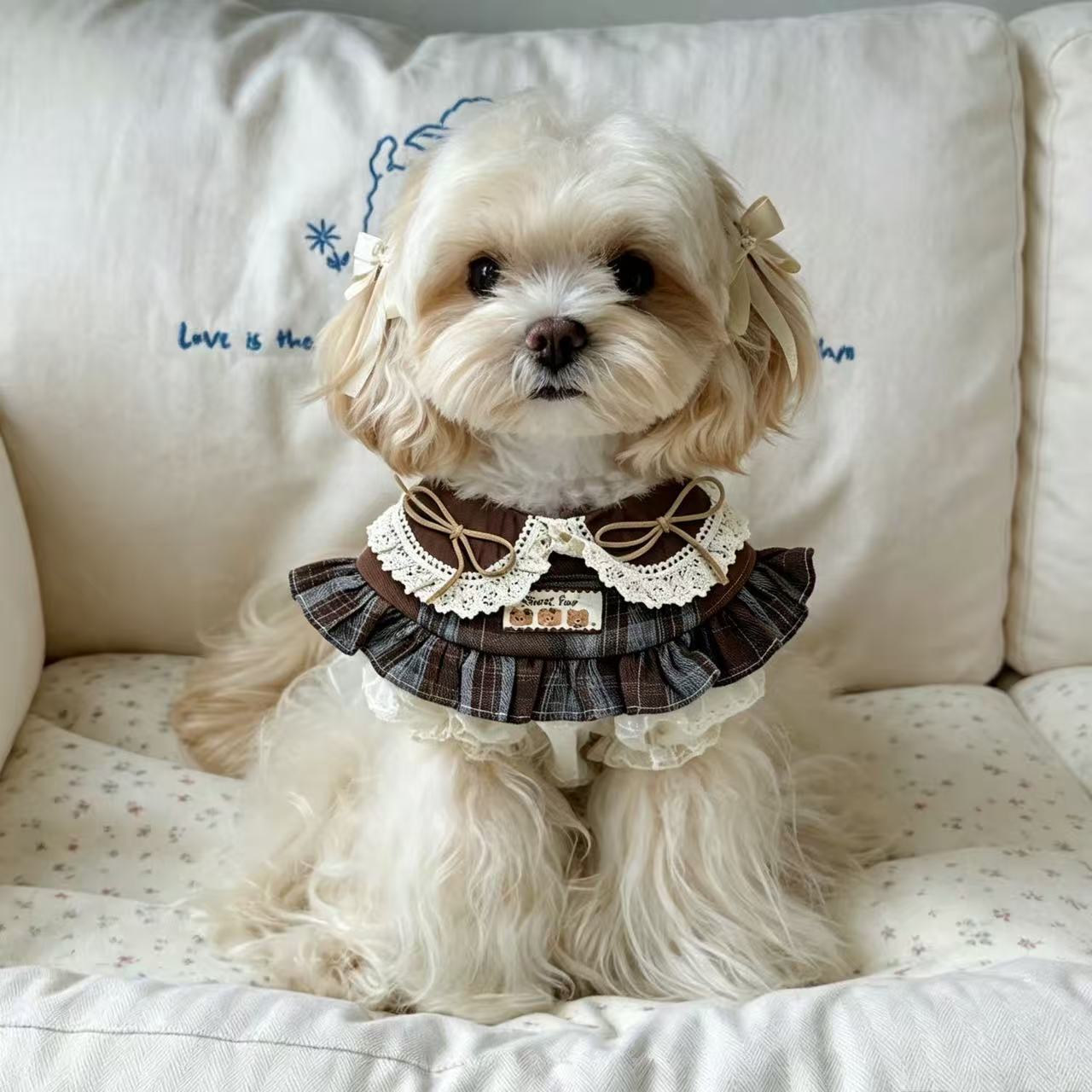 猫咪围兜宠物花边蕾丝口水巾布偶娃娃衣服拍照饰品狗狗猫咪围脖