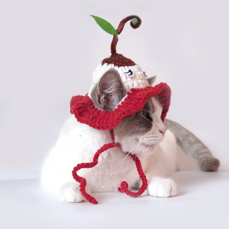 Ozzie - Cute Knitted Cat Hat