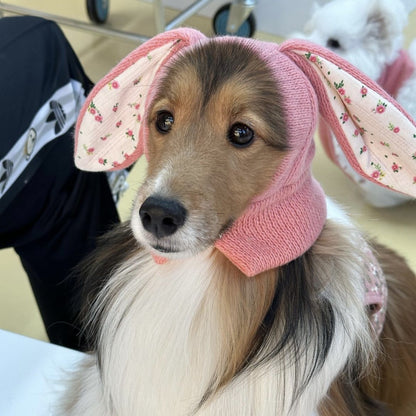Ozzie pet hat shown from a side angle on a plain background